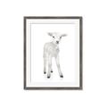Picture of In Front Lamb _GroupedProduct_Rectangle_Portrait_Mini_ _GroupedProduct_Rectangle_Portrait_Framed_Matted_