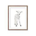 Picture of In Front Lamb _GroupedProduct_Rectangle_Portrait_Mini_ _GroupedProduct_Rectangle_Portrait_Framed_Matted_