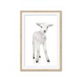 Picture of In Front Lamb _GroupedProduct_Rectangle_Portrait_Mini_ _GroupedProduct_Rectangle_Portrait_Framed_Matted_