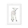 Picture of In Front Lamb _GroupedProduct_Rectangle_Portrait_Mini_ _GroupedProduct_Rectangle_Portrait_Framed_Matted_
