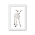 Picture of In Front Lamb _GroupedProduct_Rectangle_Portrait_Mini_ _GroupedProduct_Rectangle_Portrait_Framed_Matted_