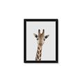 Picture of Baby Giraffe _GroupedProduct_Rectangle_Portrait_Mini_ _GroupedProduct_Rectangle_Portrait_Framed_Matted_