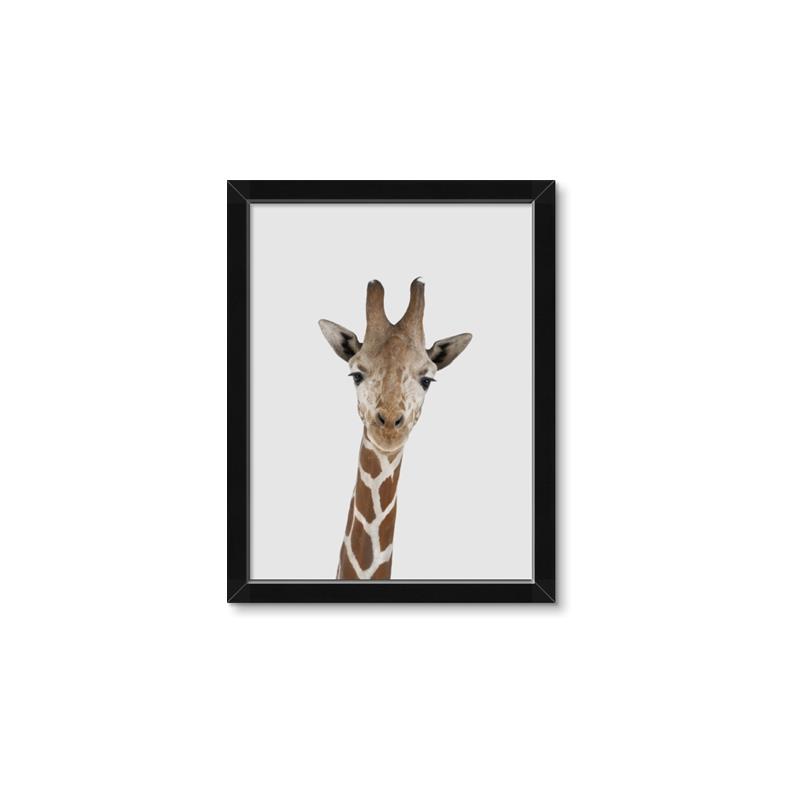 Picture of Baby Giraffe _GroupedProduct_Rectangle_Portrait_Mini_ _GroupedProduct_Rectangle_Portrait_Framed_Matted_