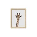 Picture of Baby Giraffe _GroupedProduct_Rectangle_Portrait_Mini_ _GroupedProduct_Rectangle_Portrait_Framed_Matted_