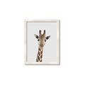 Picture of Baby Giraffe _GroupedProduct_Rectangle_Portrait_Mini_ _GroupedProduct_Rectangle_Portrait_Framed_Matted_