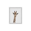 Picture of Baby Giraffe _GroupedProduct_Rectangle_Portrait_Mini_ _GroupedProduct_Rectangle_Portrait_Framed_Matted_