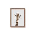 Picture of Baby Giraffe _GroupedProduct_Rectangle_Portrait_Mini_ _GroupedProduct_Rectangle_Portrait_Framed_Matted_