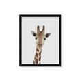 Picture of Baby Giraffe _GroupedProduct_Rectangle_Portrait_Mini_ _GroupedProduct_Rectangle_Portrait_Framed_Matted_