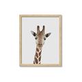 Picture of Baby Giraffe _GroupedProduct_Rectangle_Portrait_Mini_ _GroupedProduct_Rectangle_Portrait_Framed_Matted_