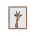 Picture of Baby Giraffe _GroupedProduct_Rectangle_Portrait_Mini_ _GroupedProduct_Rectangle_Portrait_Framed_Matted_