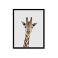 Picture of Baby Giraffe _GroupedProduct_Rectangle_Portrait_Mini_ _GroupedProduct_Rectangle_Portrait_Framed_Matted_