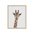 Picture of Baby Giraffe _GroupedProduct_Rectangle_Portrait_Mini_ _GroupedProduct_Rectangle_Portrait_Framed_Matted_