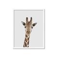 Picture of Baby Giraffe _GroupedProduct_Rectangle_Portrait_Mini_ _GroupedProduct_Rectangle_Portrait_Framed_Matted_