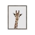 Picture of Baby Giraffe _GroupedProduct_Rectangle_Portrait_Mini_ _GroupedProduct_Rectangle_Portrait_Framed_Matted_