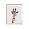 Picture of Baby Giraffe _GroupedProduct_Rectangle_Portrait_Mini_ _GroupedProduct_Rectangle_Portrait_Framed_Matted_