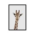 Picture of Baby Giraffe _GroupedProduct_Rectangle_Portrait_Mini_ _GroupedProduct_Rectangle_Portrait_Framed_Matted_