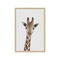 Picture of Baby Giraffe _GroupedProduct_Rectangle_Portrait_Mini_ _GroupedProduct_Rectangle_Portrait_Framed_Matted_