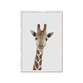 Picture of Baby Giraffe _GroupedProduct_Rectangle_Portrait_Mini_ _GroupedProduct_Rectangle_Portrait_Framed_Matted_
