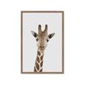 Picture of Baby Giraffe _GroupedProduct_Rectangle_Portrait_Mini_ _GroupedProduct_Rectangle_Portrait_Framed_Matted_