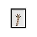 Picture of Baby Giraffe _GroupedProduct_Rectangle_Portrait_Mini_ _GroupedProduct_Rectangle_Portrait_Framed_Matted_