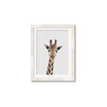 Picture of Baby Giraffe _GroupedProduct_Rectangle_Portrait_Mini_ _GroupedProduct_Rectangle_Portrait_Framed_Matted_