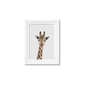 Picture of Baby Giraffe _GroupedProduct_Rectangle_Portrait_Mini_ _GroupedProduct_Rectangle_Portrait_Framed_Matted_