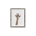 Picture of Baby Giraffe _GroupedProduct_Rectangle_Portrait_Mini_ _GroupedProduct_Rectangle_Portrait_Framed_Matted_