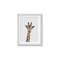 Picture of Baby Giraffe _GroupedProduct_Rectangle_Portrait_Mini_ _GroupedProduct_Rectangle_Portrait_Framed_Matted_