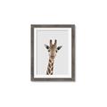 Picture of Baby Giraffe _GroupedProduct_Rectangle_Portrait_Mini_ _GroupedProduct_Rectangle_Portrait_Framed_Matted_