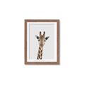 Picture of Baby Giraffe _GroupedProduct_Rectangle_Portrait_Mini_ _GroupedProduct_Rectangle_Portrait_Framed_Matted_