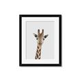 Picture of Baby Giraffe _GroupedProduct_Rectangle_Portrait_Mini_ _GroupedProduct_Rectangle_Portrait_Framed_Matted_