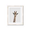 Picture of Baby Giraffe _GroupedProduct_Rectangle_Portrait_Mini_ _GroupedProduct_Rectangle_Portrait_Framed_Matted_