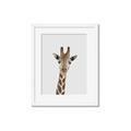 Picture of Baby Giraffe _GroupedProduct_Rectangle_Portrait_Mini_ _GroupedProduct_Rectangle_Portrait_Framed_Matted_