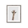 Picture of Baby Giraffe _GroupedProduct_Rectangle_Portrait_Mini_ _GroupedProduct_Rectangle_Portrait_Framed_Matted_