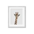 Picture of Baby Giraffe _GroupedProduct_Rectangle_Portrait_Mini_ _GroupedProduct_Rectangle_Portrait_Framed_Matted_