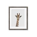 Picture of Baby Giraffe _GroupedProduct_Rectangle_Portrait_Mini_ _GroupedProduct_Rectangle_Portrait_Framed_Matted_