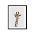 Picture of Baby Giraffe _GroupedProduct_Rectangle_Portrait_Mini_ _GroupedProduct_Rectangle_Portrait_Framed_Matted_