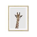 Picture of Baby Giraffe _GroupedProduct_Rectangle_Portrait_Mini_ _GroupedProduct_Rectangle_Portrait_Framed_Matted_