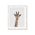 Picture of Baby Giraffe _GroupedProduct_Rectangle_Portrait_Mini_ _GroupedProduct_Rectangle_Portrait_Framed_Matted_