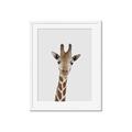 Picture of Baby Giraffe _GroupedProduct_Rectangle_Portrait_Mini_ _GroupedProduct_Rectangle_Portrait_Framed_Matted_