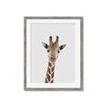 Picture of Baby Giraffe _GroupedProduct_Rectangle_Portrait_Mini_ _GroupedProduct_Rectangle_Portrait_Framed_Matted_