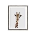 Picture of Baby Giraffe _GroupedProduct_Rectangle_Portrait_Mini_ _GroupedProduct_Rectangle_Portrait_Framed_Matted_