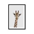 Picture of Baby Giraffe _GroupedProduct_Rectangle_Portrait_Mini_ _GroupedProduct_Rectangle_Portrait_Framed_Matted_