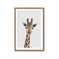 Picture of Baby Giraffe _GroupedProduct_Rectangle_Portrait_Mini_ _GroupedProduct_Rectangle_Portrait_Framed_Matted_