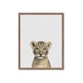 Picture of Baby Lion _GroupedProduct_Rectangle_Portrait_Mini_ _GroupedProduct_Rectangle_Portrait_Framed_Matted_