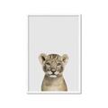 Picture of Baby Lion _GroupedProduct_Rectangle_Portrait_Mini_ _GroupedProduct_Rectangle_Portrait_Framed_Matted_