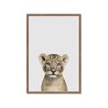 Picture of Baby Lion _GroupedProduct_Rectangle_Portrait_Mini_ _GroupedProduct_Rectangle_Portrait_Framed_Matted_
