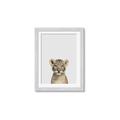 Picture of Baby Lion _GroupedProduct_Rectangle_Portrait_Mini_ _GroupedProduct_Rectangle_Portrait_Framed_Matted_