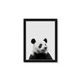 Picture of Panda Portrait _GroupedProduct_Rectangle_Portrait_Mini_ _GroupedProduct_Rectangle_Portrait_Framed_Matted_