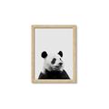 Picture of Panda Portrait _GroupedProduct_Rectangle_Portrait_Mini_ _GroupedProduct_Rectangle_Portrait_Framed_Matted_